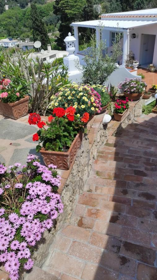 B&B Villa Cristina Anacapri  Eksteriør billede