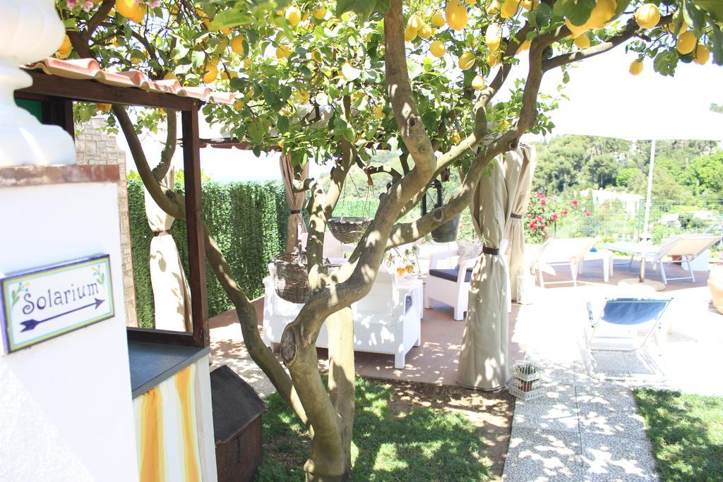 B&B Villa Cristina Anacapri  Eksteriør billede